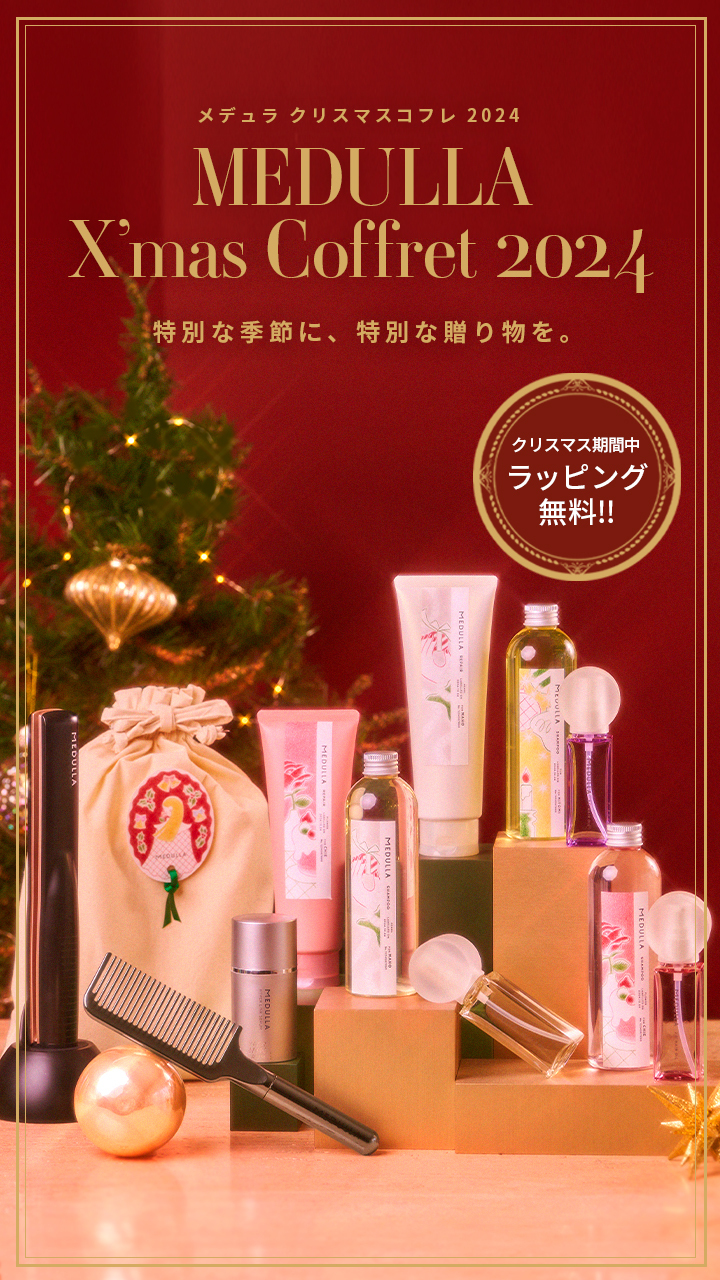 2024】センス抜群！クリスマスプレゼントはヘアケアセットが最適